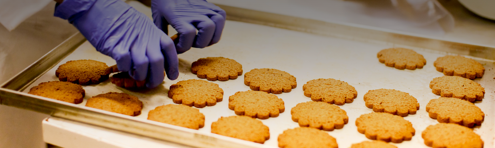 Graisse Végétale Coprah, Palmiste, Palme Med Oil Company